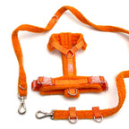 Hundegeschirr-Set – Teddy-Optik – Orange – inkl. Leine