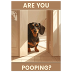 0de9b71b-1a2a-42d7-ad11-8bbcf247dc84