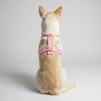 Hundegeschirr-Set – Teddy-Optik – Rosa – inkl. Leine