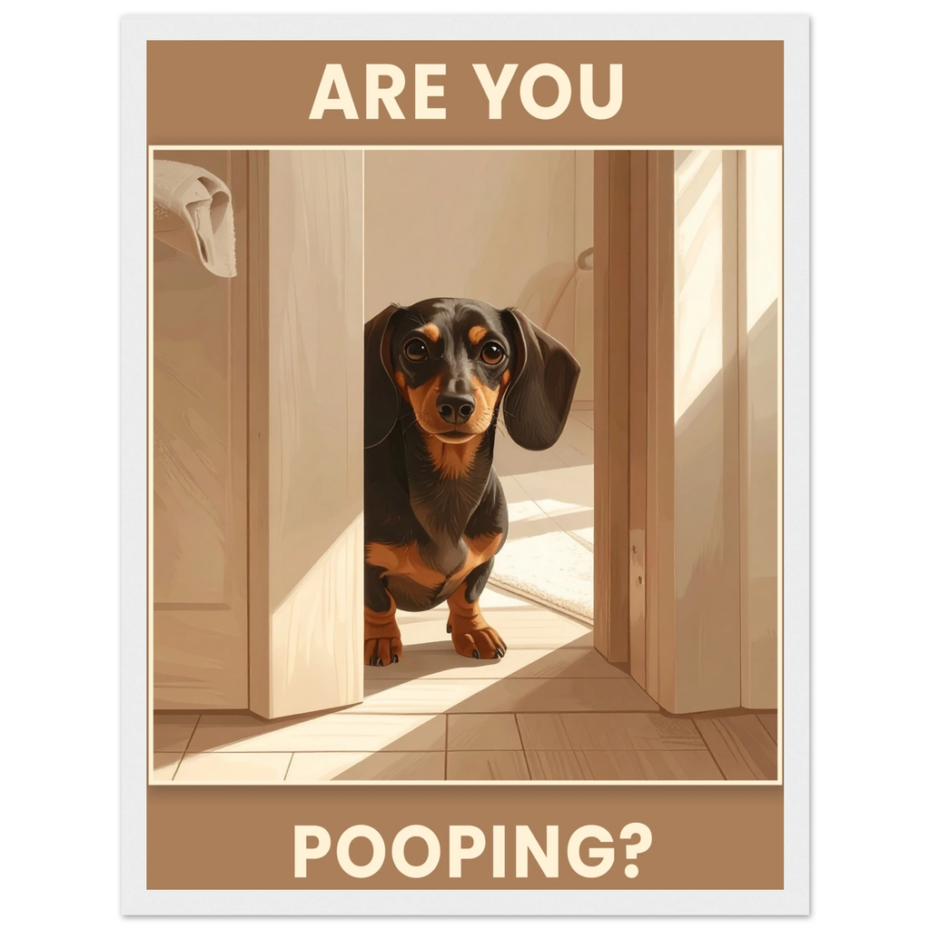 447c420e-ad04-45ed-981c-49bd6c935fbf