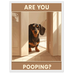 447c420e-ad04-45ed-981c-49bd6c935fbf