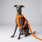 Hundegeschirr-Set – Teddy-Optik – Orange – inkl. Leine