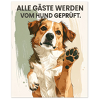 52717787-9833-4b28-b923-46b66b5ab175