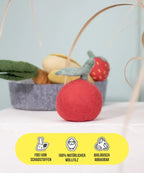 BUDDY. Hundespielzeug aus Wollfilz "Apfel"