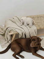 BUDDY. Hundespielzeug aus Leder "Elefant"