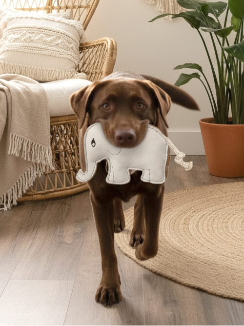 BUDDY. Hundespielzeug aus Leder "Elefant"