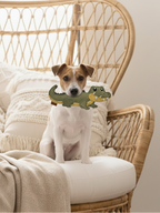 BUDDY. Hundespielzeug aus Leder "Krokodil"