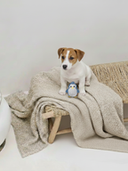 BUDDY. Hundespielzeug aus Leder "Kleiner Pinguin"