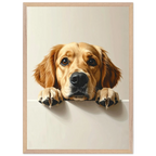 a14724cb-9aae-4ee0-bb1e-155923875d85