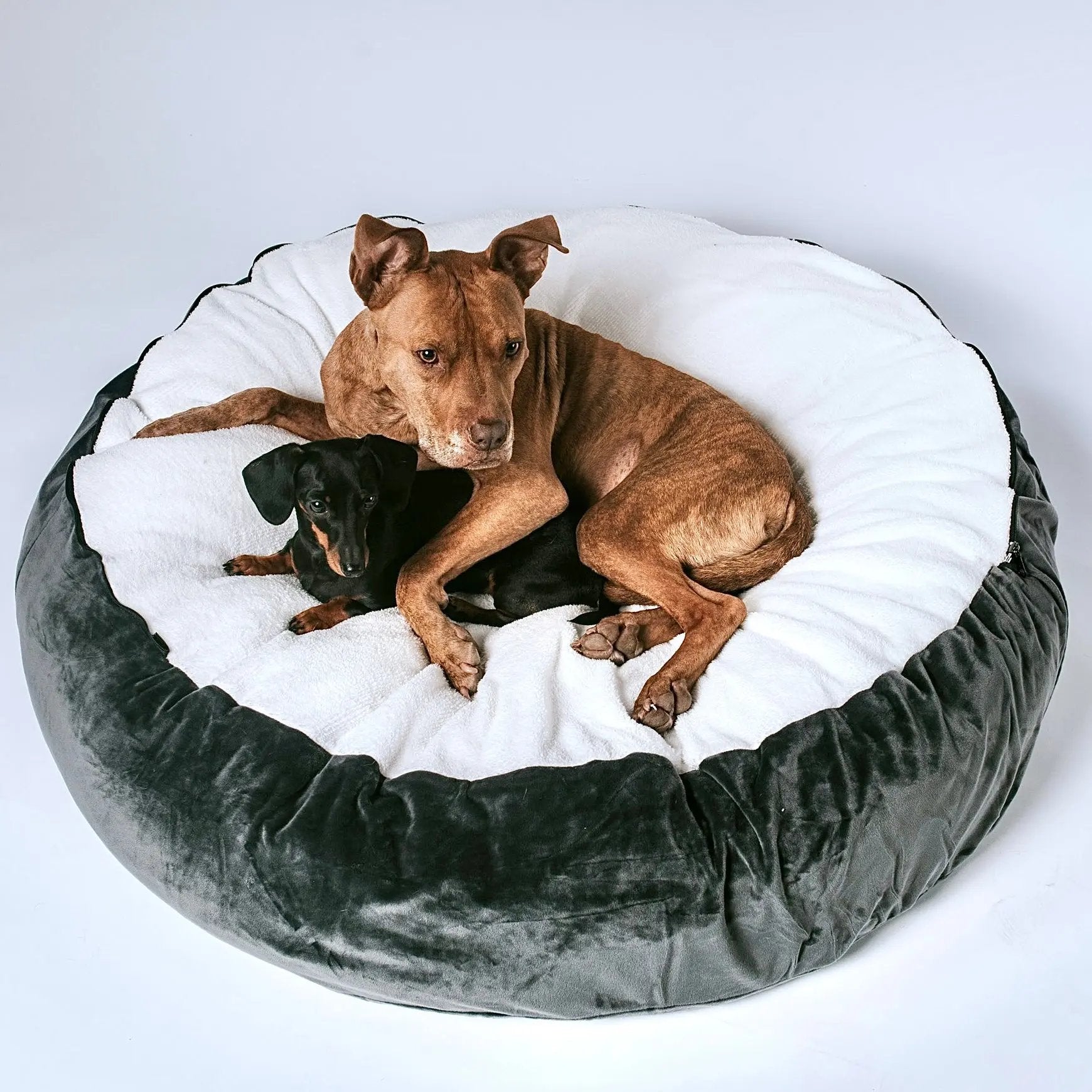Kuscheliges Hundebett: Anti-Stress mit abnehmbarer Kuscheldecke