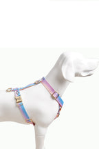 Hundegeschirr Aurora