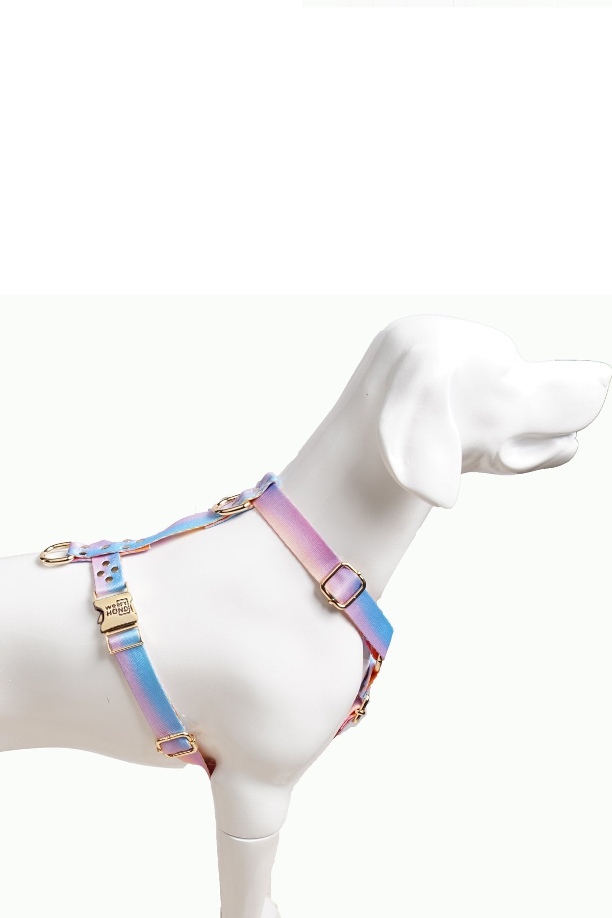 Hundegeschirr Aurora