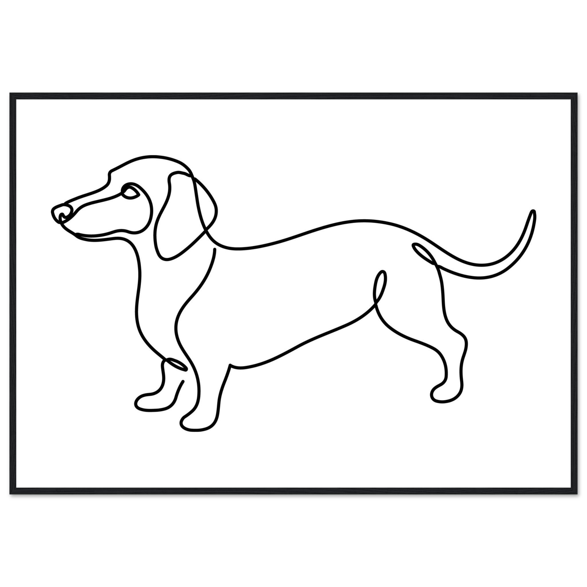 b65d172c-5fda-460a-a25e-927ad06bbbd9