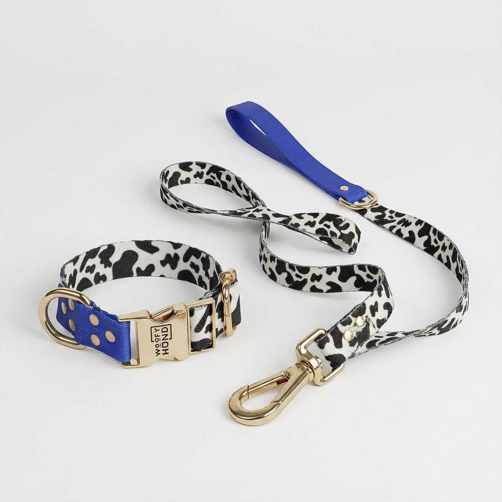 Hundehalsband & Leine Set – Blueberry