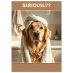 c08b7957-cdfa-44ab-beee-2102c90db883