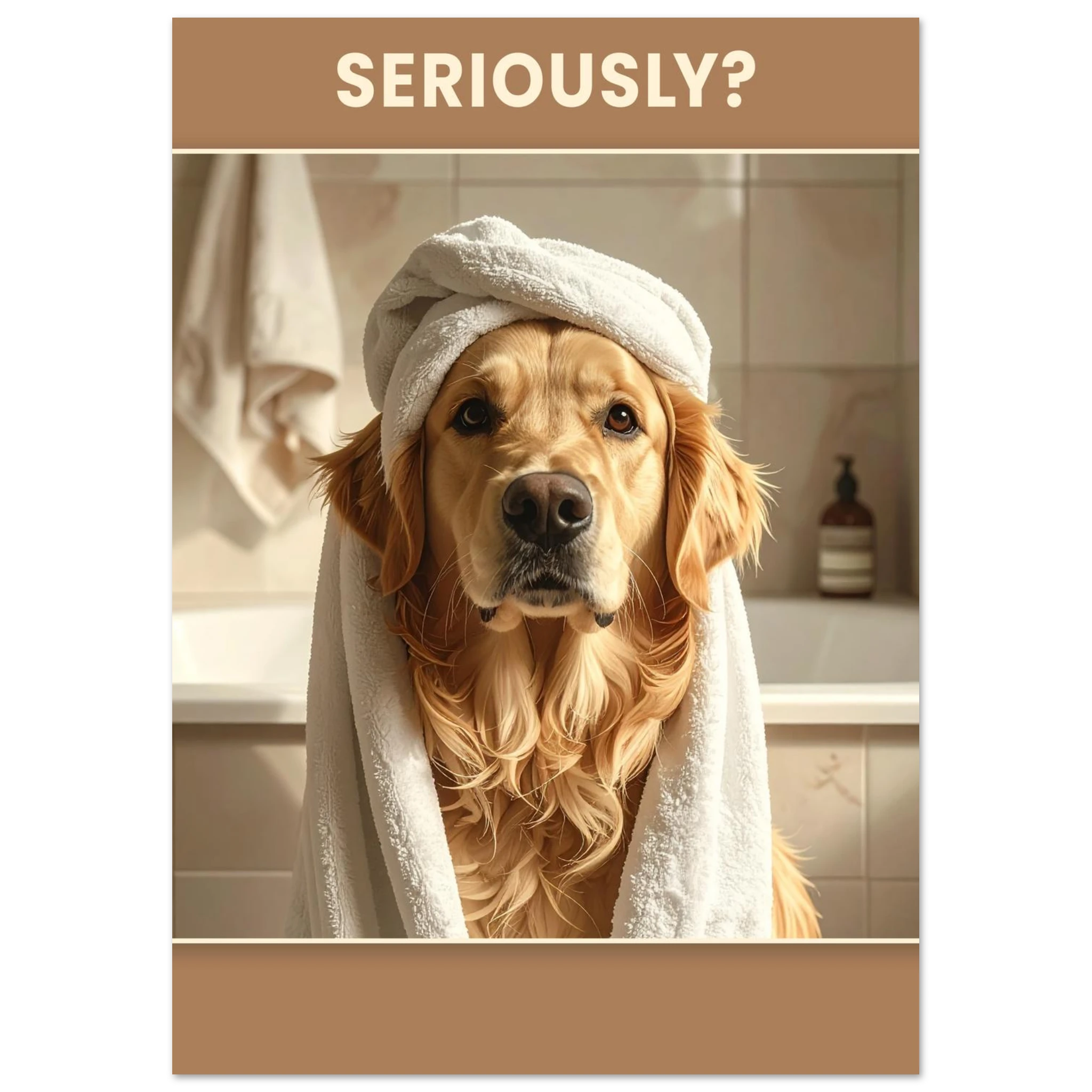 c08b7957-cdfa-44ab-beee-2102c90db883