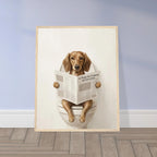 c8a5205d-c8fb-4f4b-81ac-1d6a245b7159