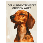 c92ff9e4-0e8f-4c6e-a88f-2ec592678824