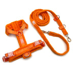 Hundegeschirr-Set – Teddy-Optik – Orange – inkl. Leine