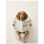 cbfd32b9-8243-4ae2-9a80-de9cdea0d39b