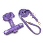 Hundegeschirr-Set – Teddy-Optik – Violett – inkl. Leine