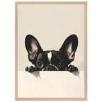 f3732ad2-2014-4ce7-8cd8-a1bca3d869df