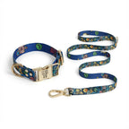 Hundehalsband & Leine Set – Galaxy
