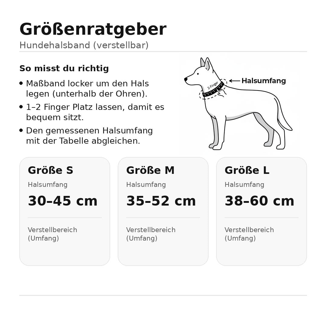 Hundehalsband – Edition 2025 Lavender – verstellbar