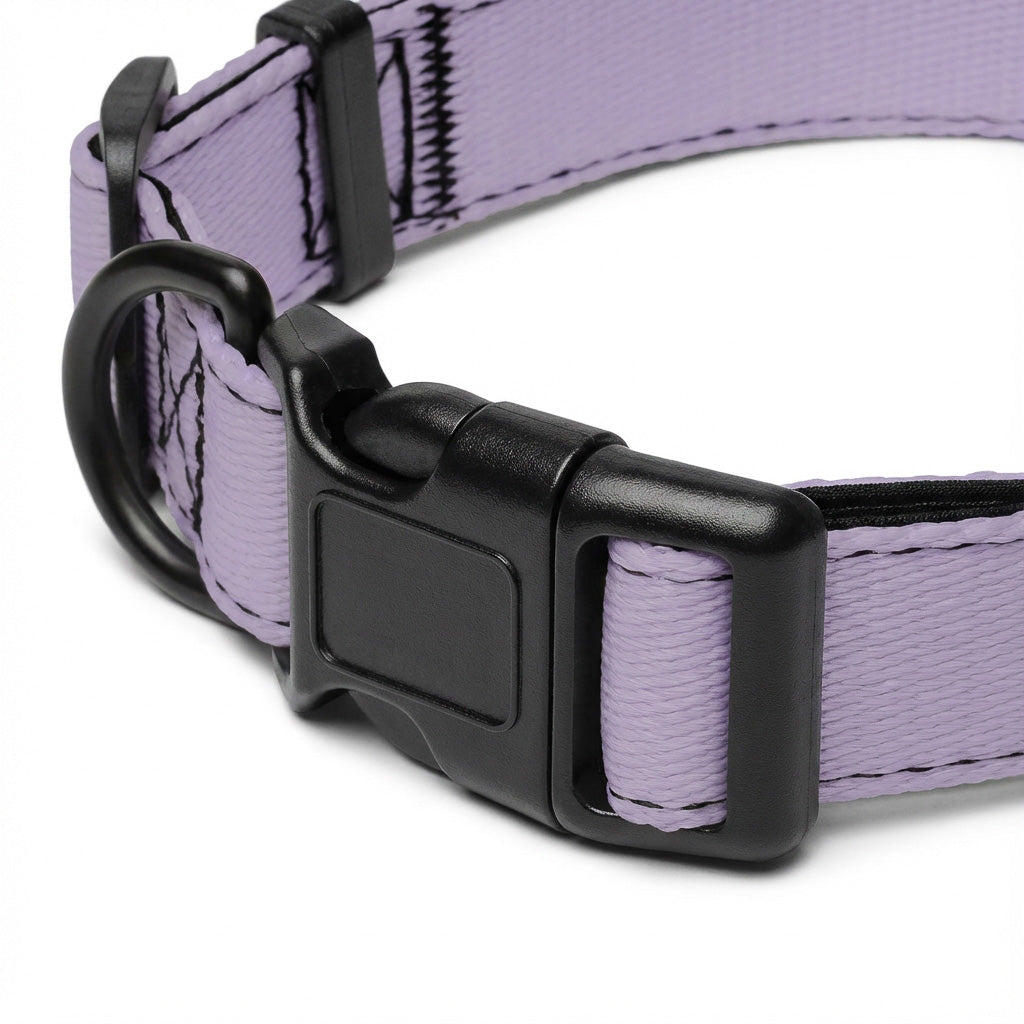 Hundehalsband – Edition 2025 Lavender – verstellbar
