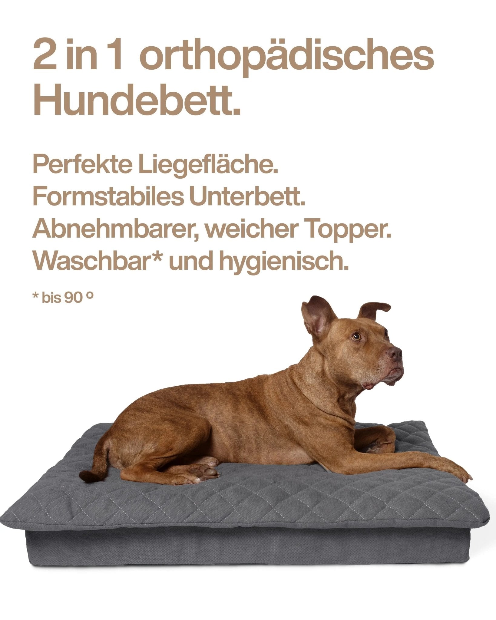 Lous 2 in 1 Hundebett mit abnehmbarem Topper für zu Hause und unterwegs