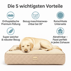 Lou's Premium Orthopädisches Hundekissen mit abnehmbarem waschbarem Bezug