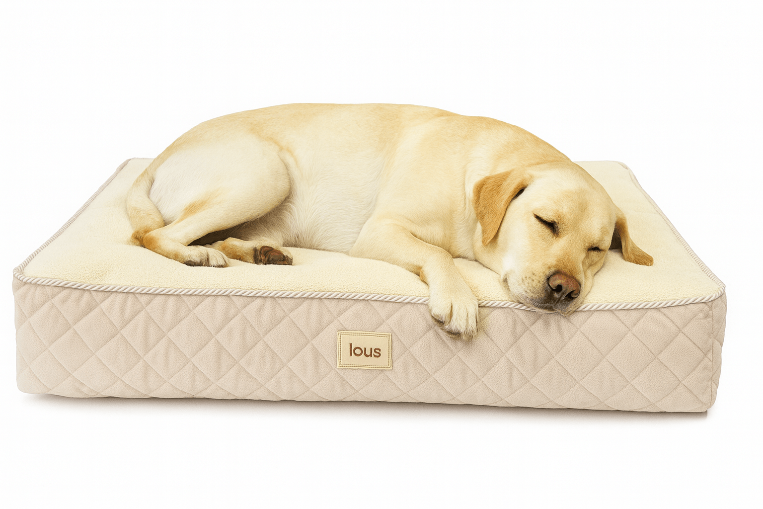 Lou's Premium Orthopädisches Hundekissen mit abnehmbarem waschbarem Bezug