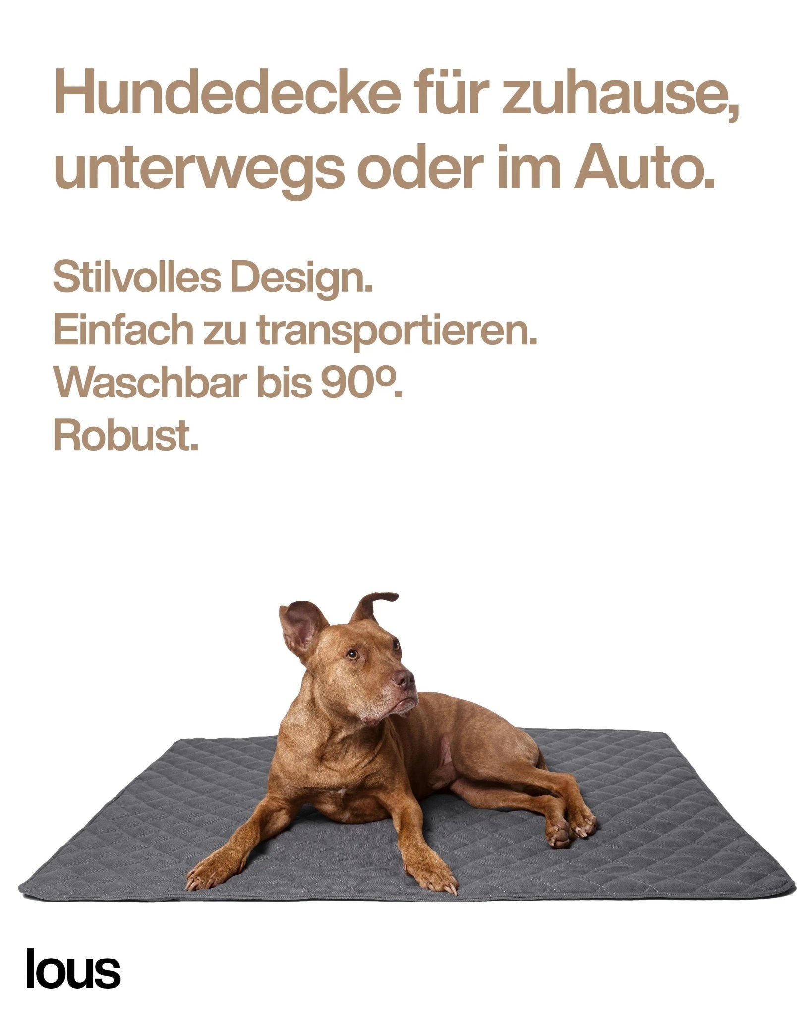 Lou's große und stilvolle Hundedecke