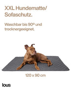 Lou's große und stilvolle Hundedecke