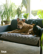 Lou's große und stilvolle Hundedecke