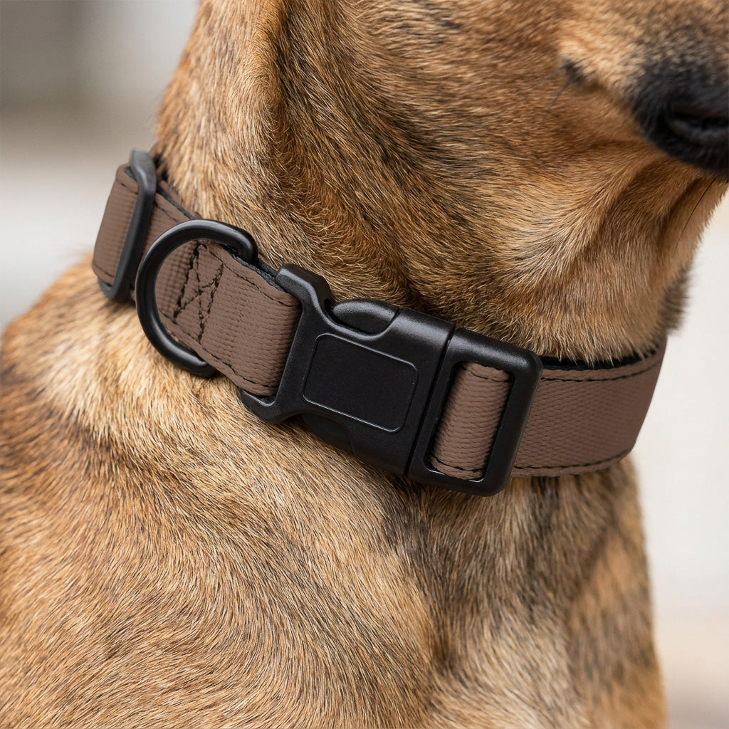 Hundehalsband – Edition 2025 Mocha – verstellbar